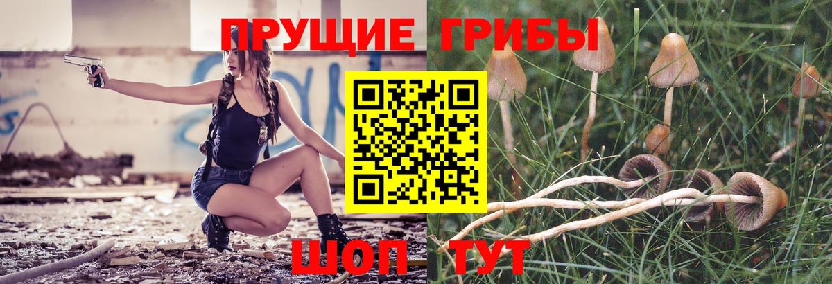 Галлюциногенные грибы Psilocybe Лосино-Петровский